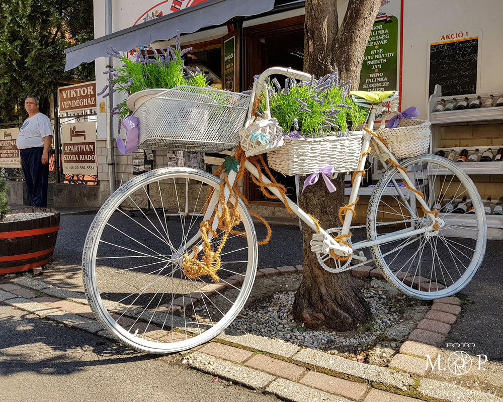 rower w Tokaju